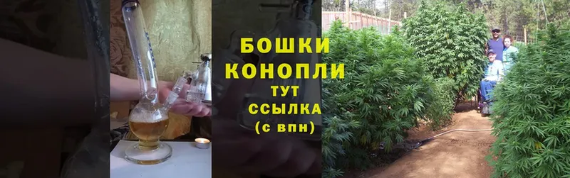 MEGA   Ковдор  Шишки марихуана OG Kush 